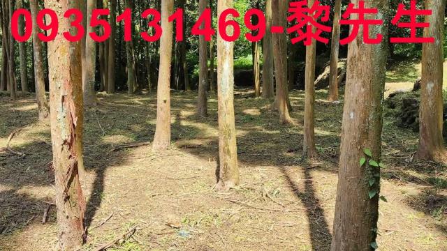 新竹北埔農地_交通用地-2