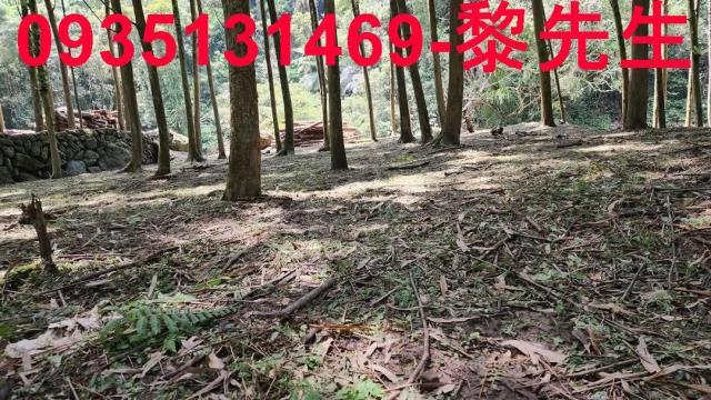 新竹北埔農地_交通用地-4