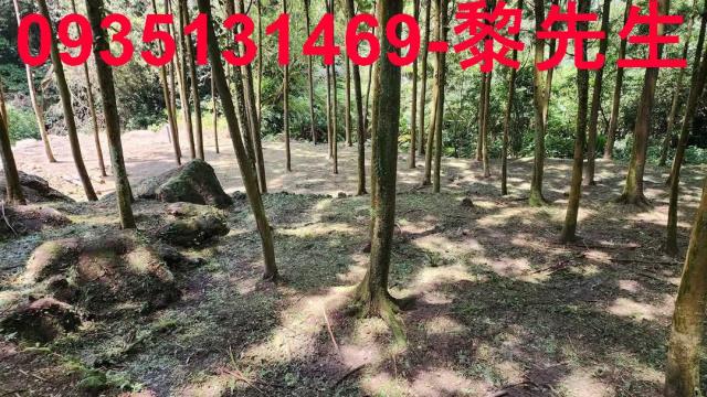 新竹北埔農地_交通用地-6