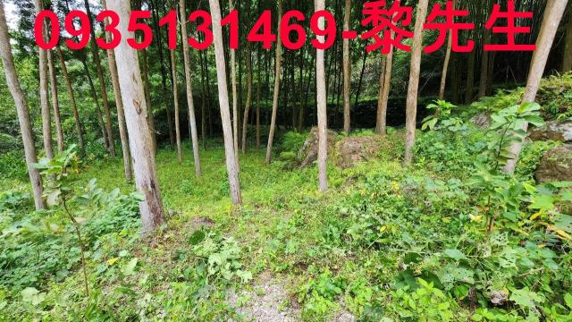 新竹北埔農地_交通用地-10