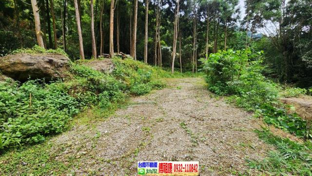 新竹北埔農地-6