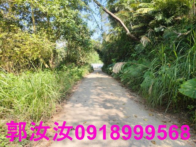 台南白河農地-10