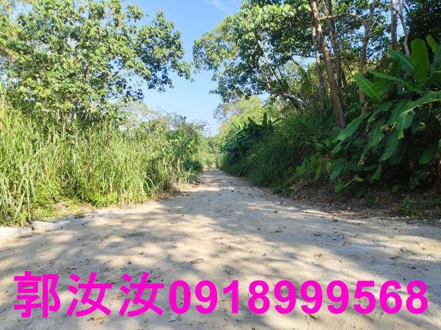 台南白河農地-13