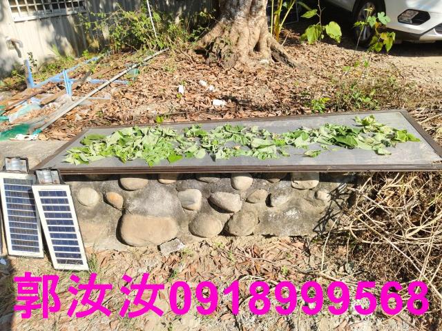 台南白河農地-5