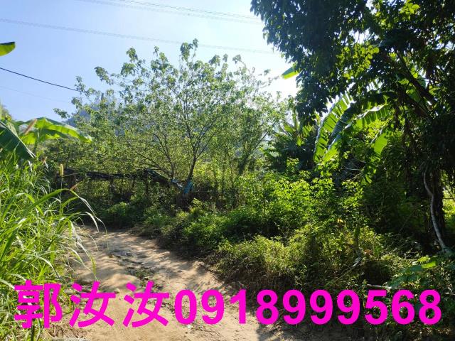 台南白河農地-6