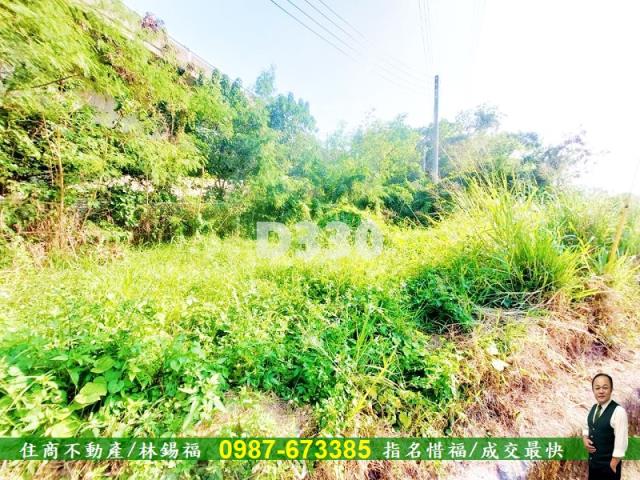 台南新化農地_建地-3