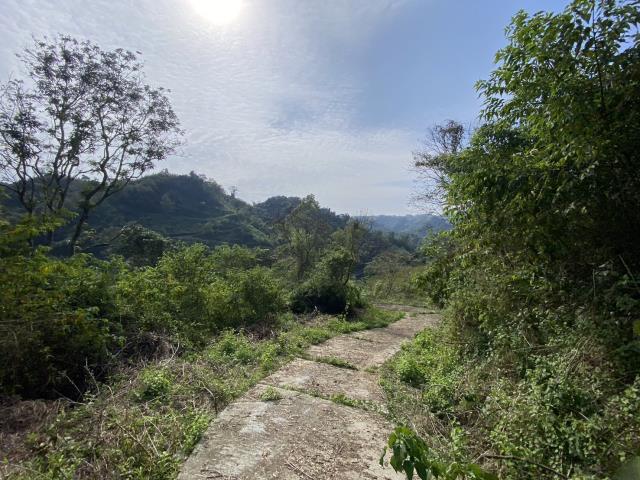 南投中寮農地-0