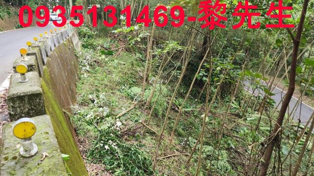 橫山農地_建地-11