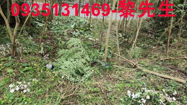 橫山農地_建地-3