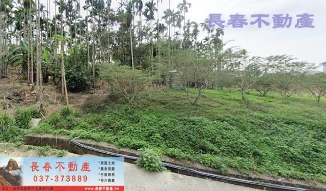 苗栗農地_山坡地_休閒地-1