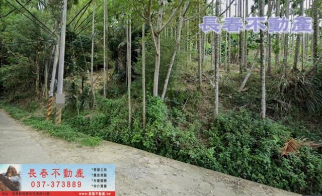 苗栗農地_山坡地_休閒地-3