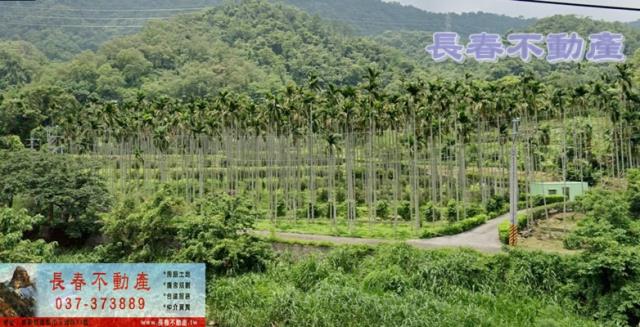 苗栗農地_山坡地-1
