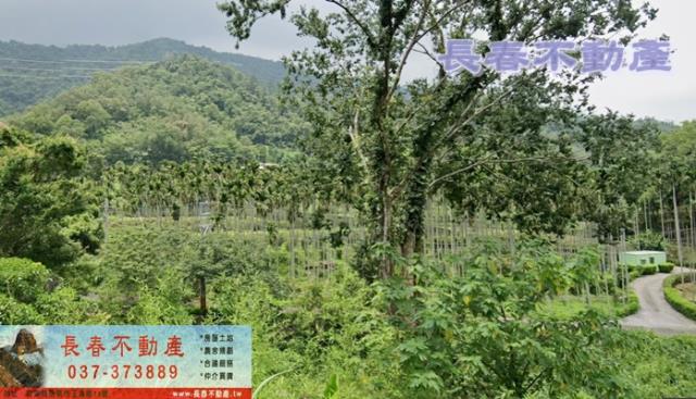苗栗農地_山坡地-2