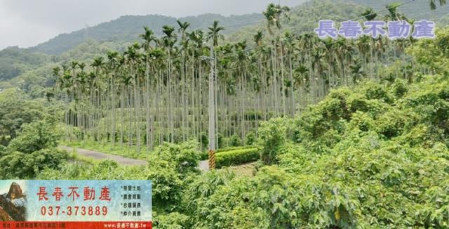 苗栗農地_山坡地-3