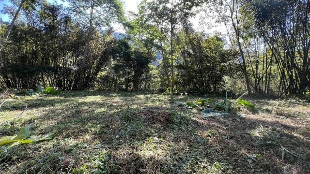 橫山農地_建地_山坡地-12