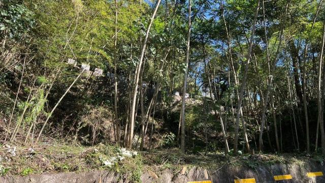 橫山農地_建地_山坡地-7