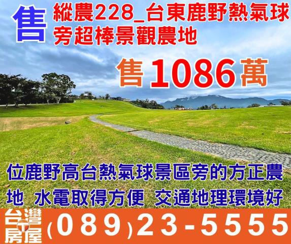 鹿野高台熱氣球紅烏龍