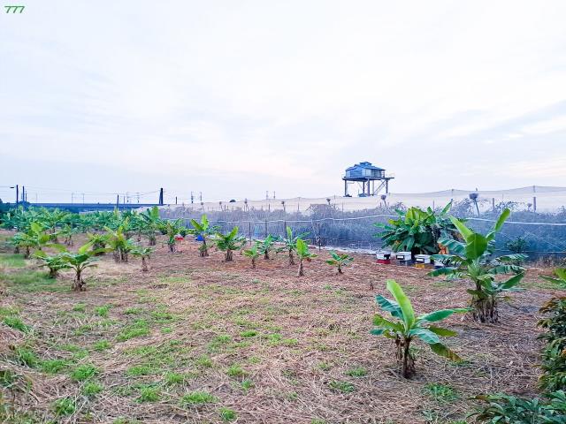 岡山農地-7