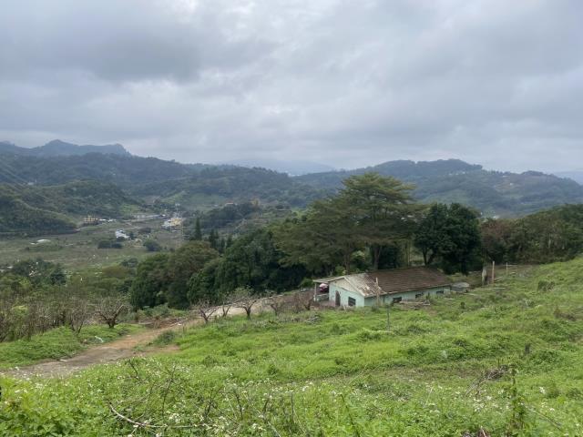 台中東勢農地_休閒地-3