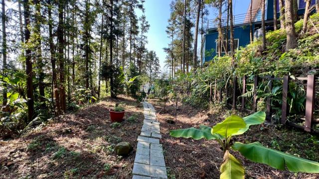 新竹北埔山坡地_休閒地_林地-11