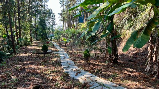 新竹北埔山坡地_休閒地_林地-12