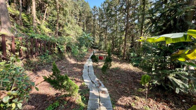 新竹北埔山坡地_休閒地_林地-13