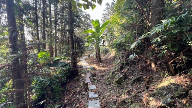 新竹北埔山坡地_休閒地_林地-14