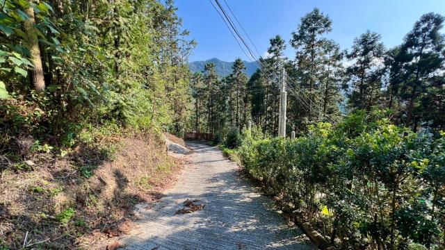 新竹北埔山坡地_休閒地_林地-15