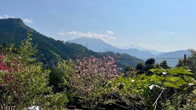 新竹北埔山坡地_休閒地_林地-2