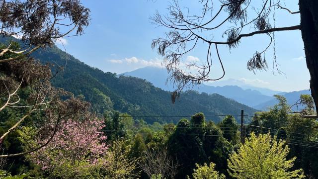 新竹北埔山坡地_休閒地_林地-3