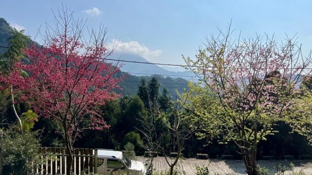 新竹北埔山坡地_休閒地_林地-4