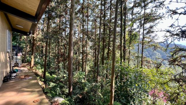新竹北埔山坡地_休閒地_林地-6