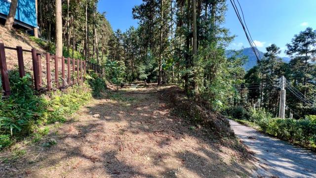 新竹北埔山坡地_休閒地_林地-9