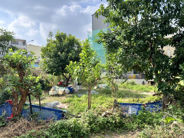南投南投市建地_工業地-6