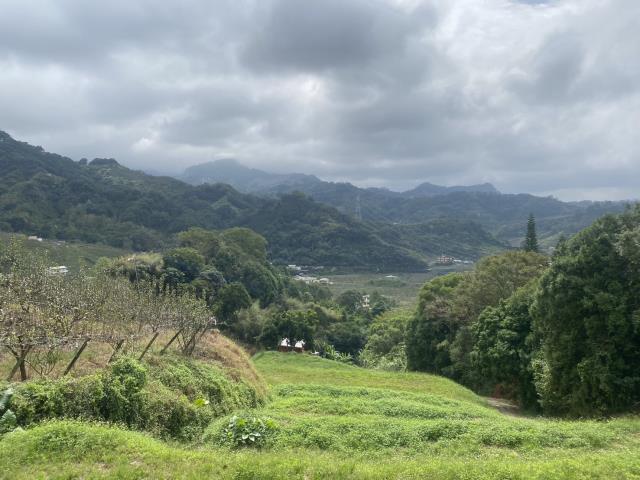 台中東勢農地_休閒地-2
