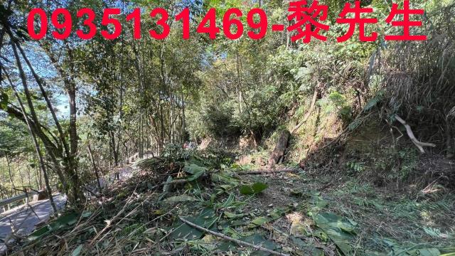 橫山農地_建地-11