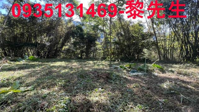 橫山農地_建地-12