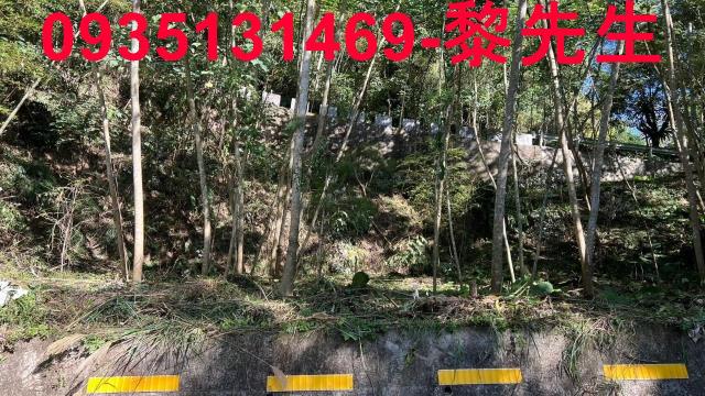 橫山農地_建地-6