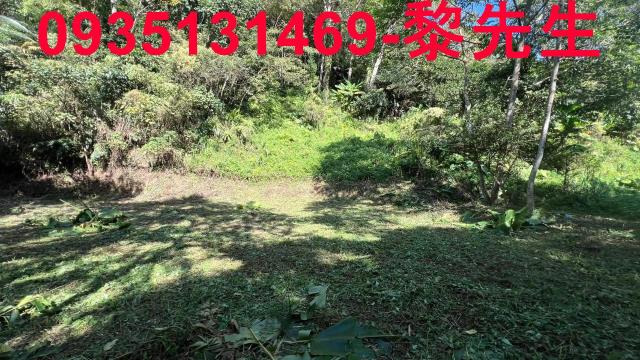 橫山農地_建地-8