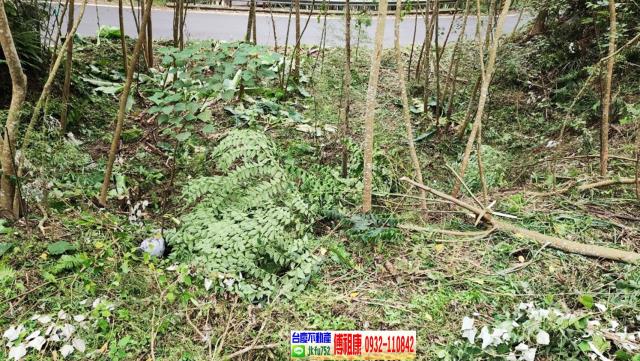 新竹橫山農地_建地-10