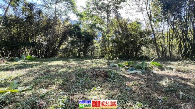 新竹橫山農地_建地-5