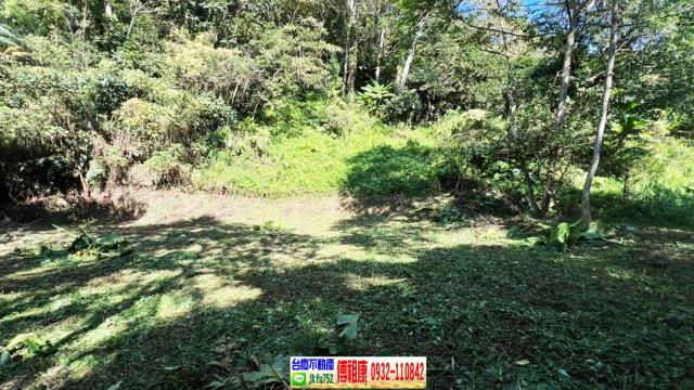 新竹橫山農地_建地-6