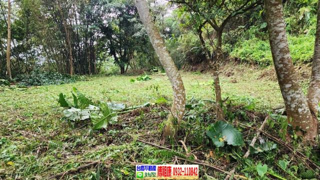 新竹橫山農地_建地-7