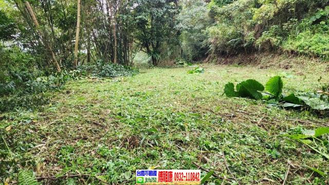 新竹橫山農地_建地-8