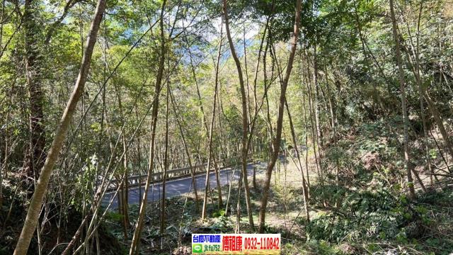 新竹橫山農地_建地-9