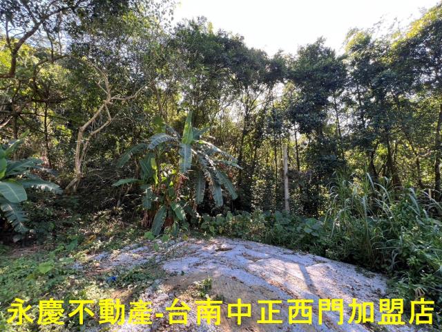台南白河農地_林地-1