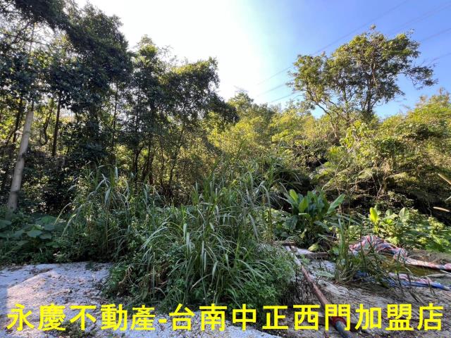 台南白河農地_林地-2