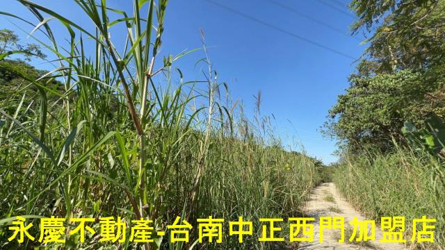 台南白河農地_林地-4