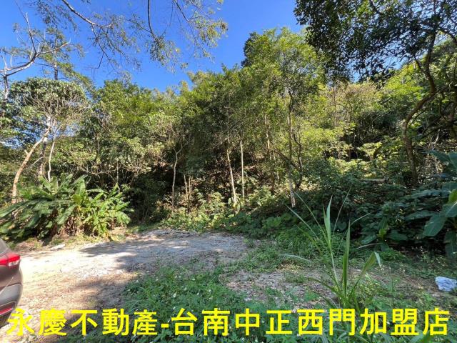 台南白河農地_林地-8