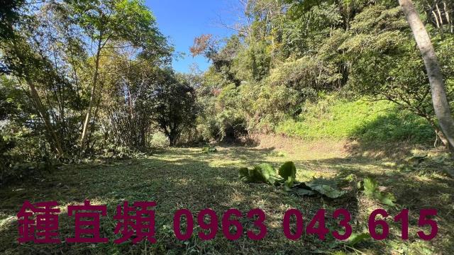 新竹農地_建地_山坡地-11
